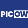Picow Engineering Group