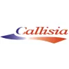 Callisia