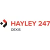 Hayley 247
