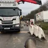 S J Building Contractors