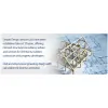 Simple Design Services
